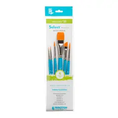 PRINCETON - Set 6 Pinceles Value Set 21