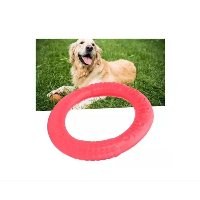 GENERICO - Frisbee Para Perro Diversión Para Mascotas