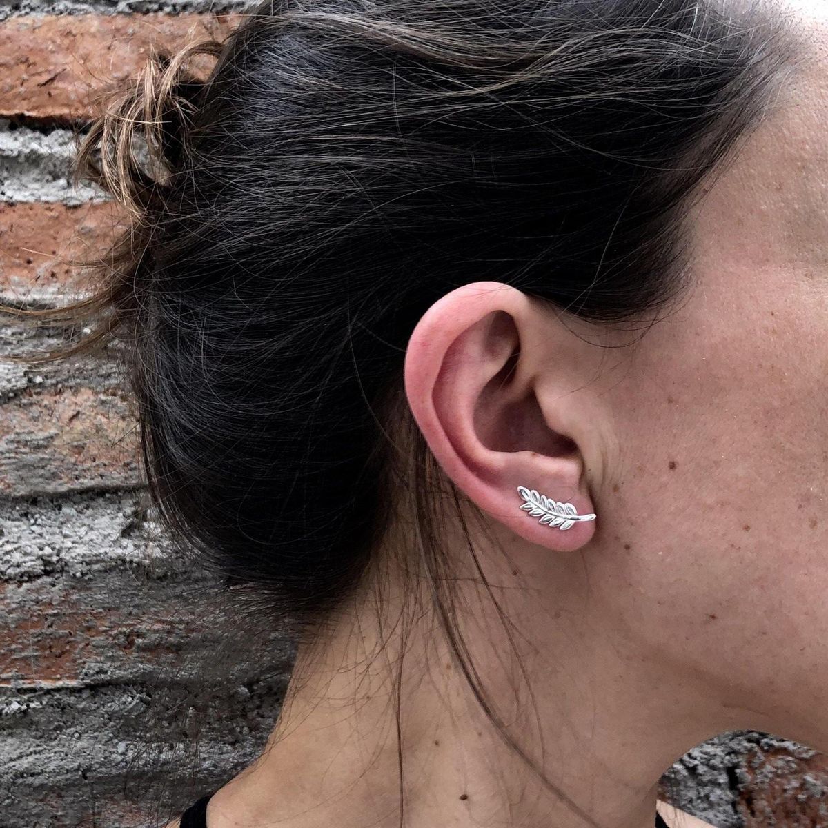 GOIA - Trepador Espiga Plata.