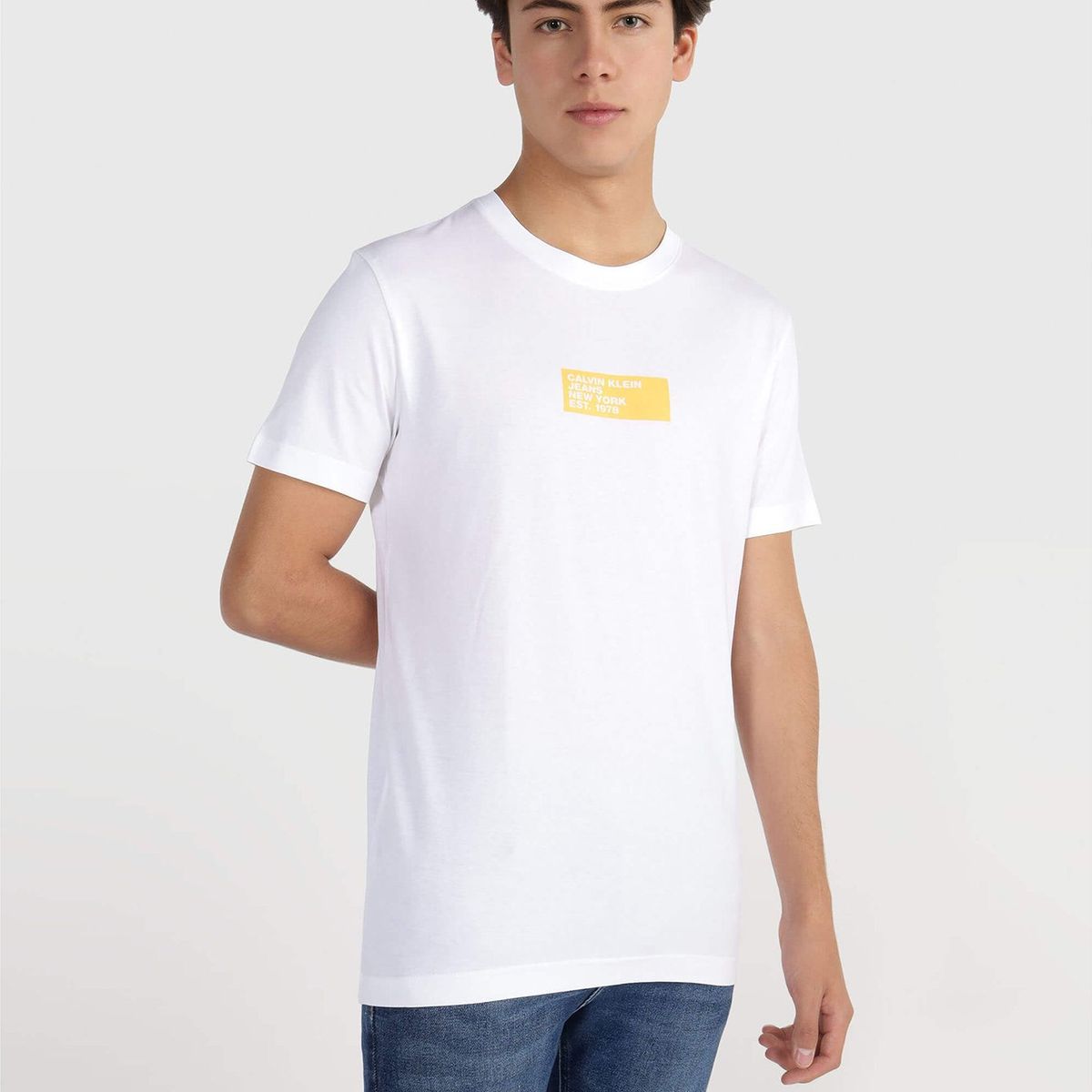 CALVIN KLEIN - Polera Small Center Box Blanco Calvin Klein