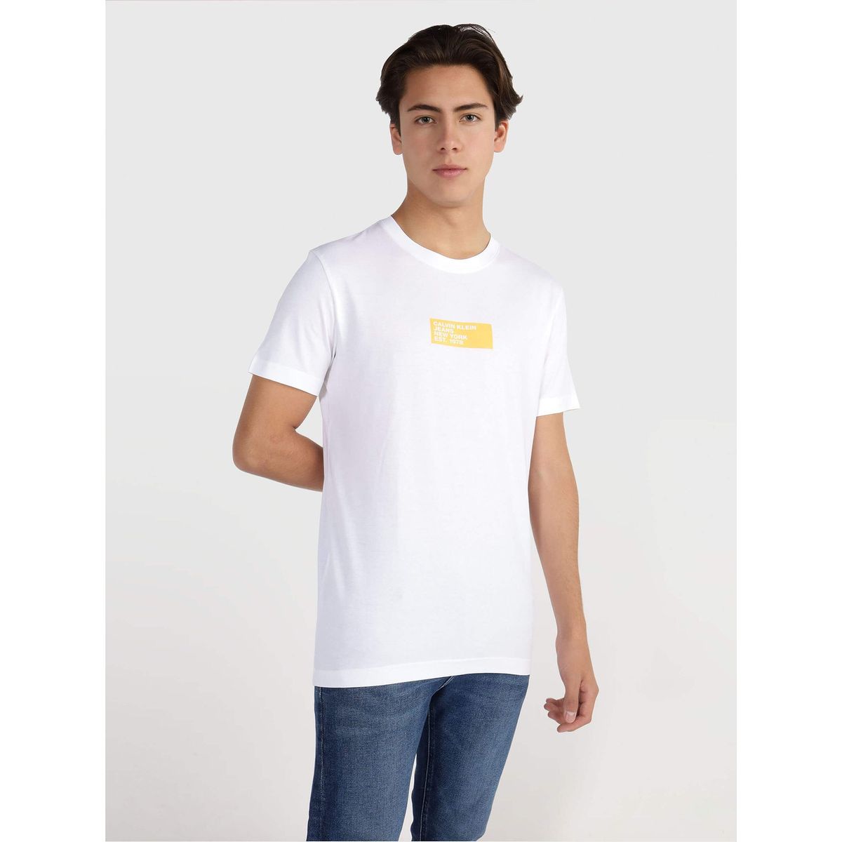 CALVIN KLEIN - Polera Small Center Box Blanco Calvin Klein