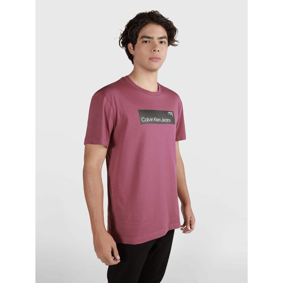 CALVIN KLEIN - Polera Hyper Real Box Logo Morado Calvin Klein