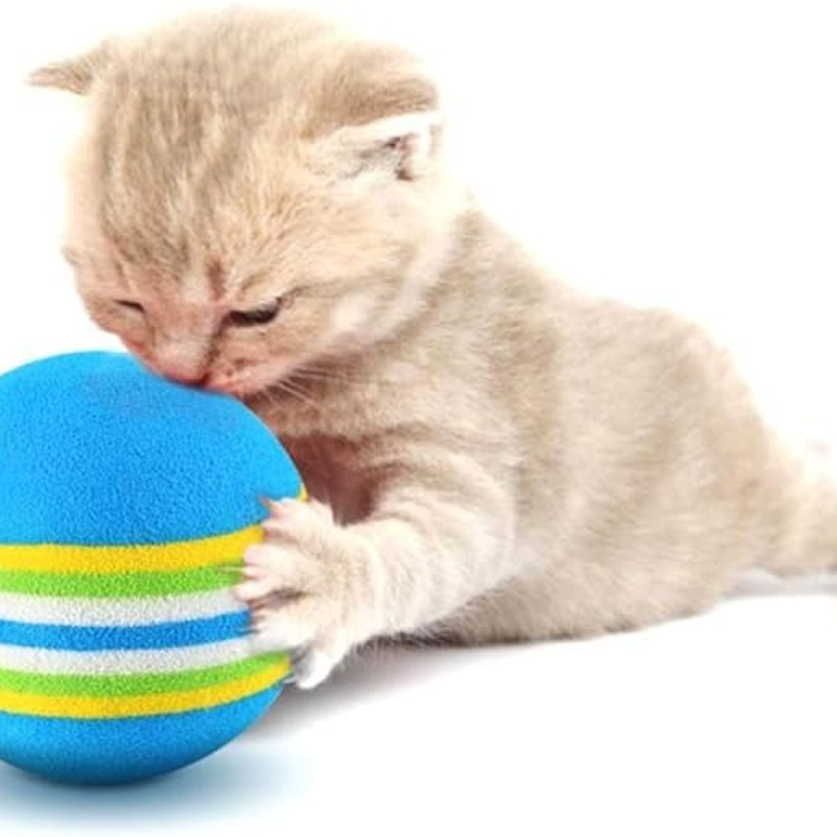GENERICO - 8 Pelotas Para Gatos Juguetes Para Gatos Juegos Para Gatos