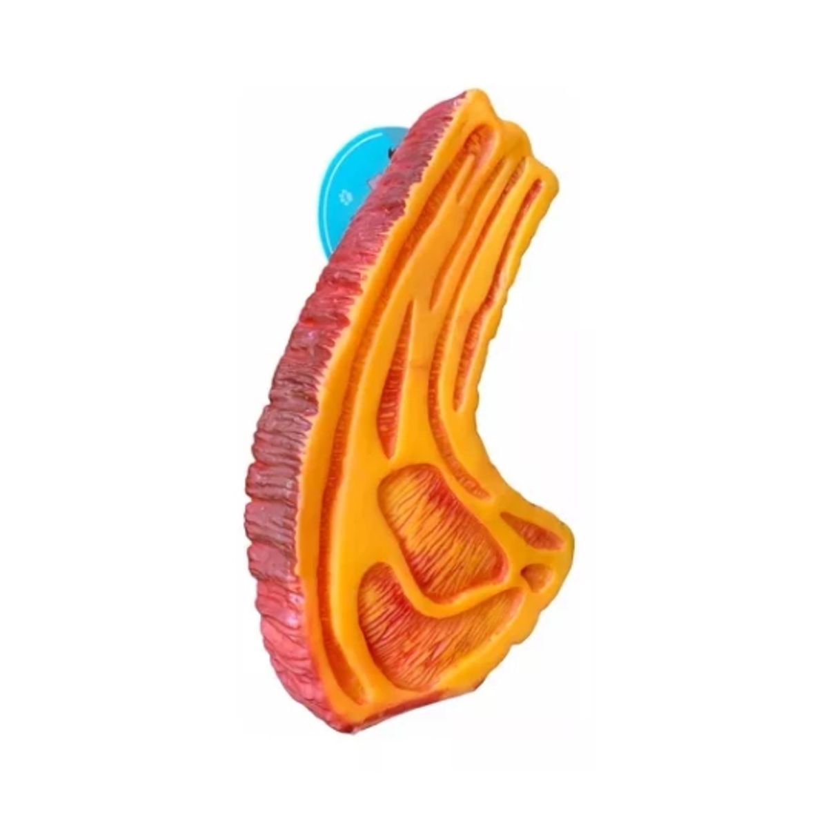 GENERICO - Juguete Chuleta Con Sonido Para Mascota Perro