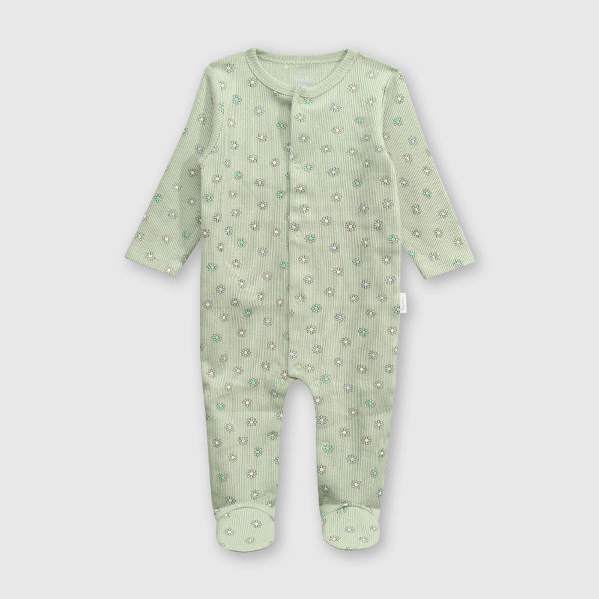 COLLOKY - Oso Niña Verde 49658 Colloky