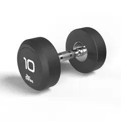TEN SERIES - Mancuerna Round Steel 10 Kg
