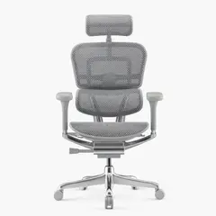 FORM OFFICE - Silla Ergohuman Elite 2 Gris Claro