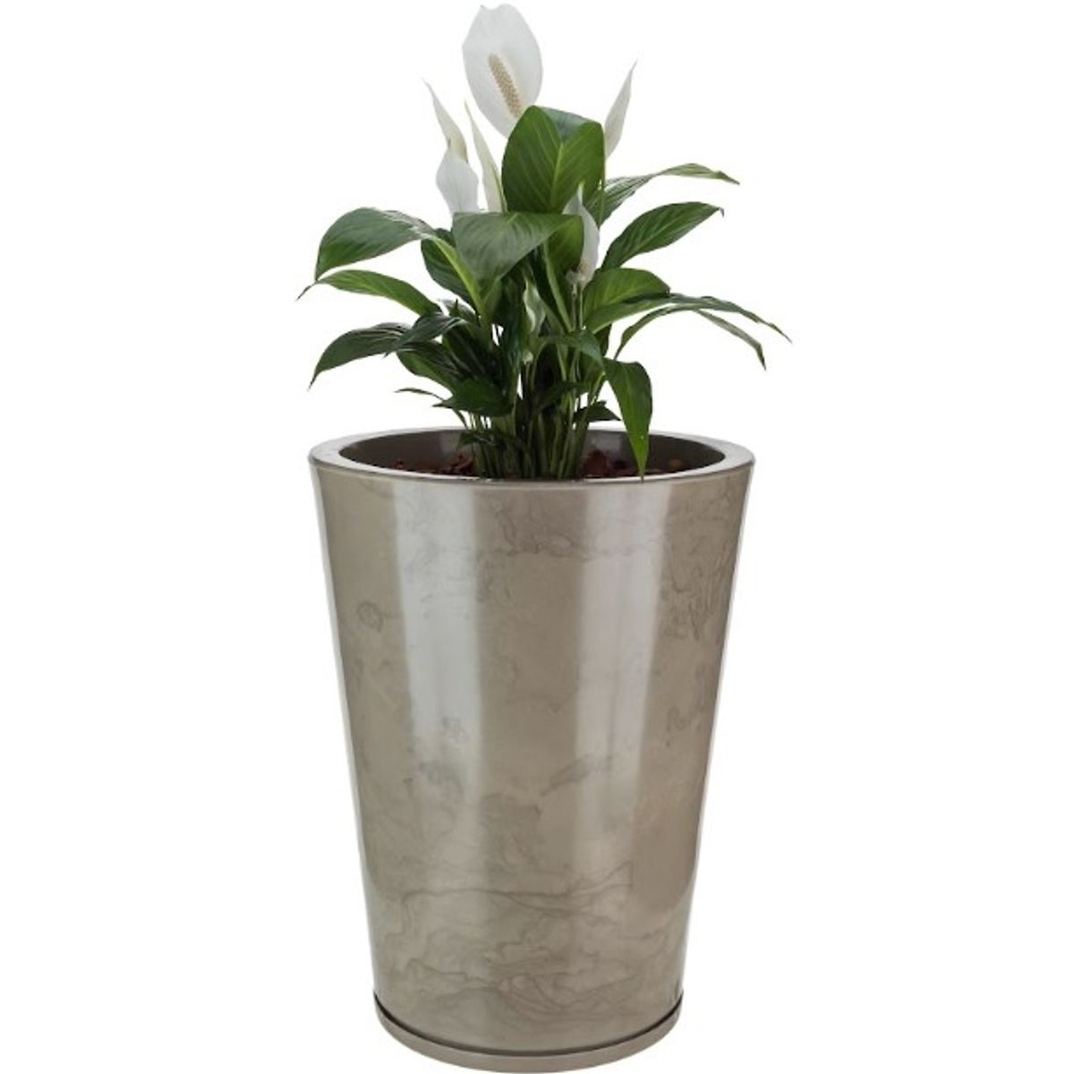 FLORIDIS - MACETERO FLORIDIS BEIGE EFECTO MARMOL GENEBRA 57CM ALTO CON PLATO