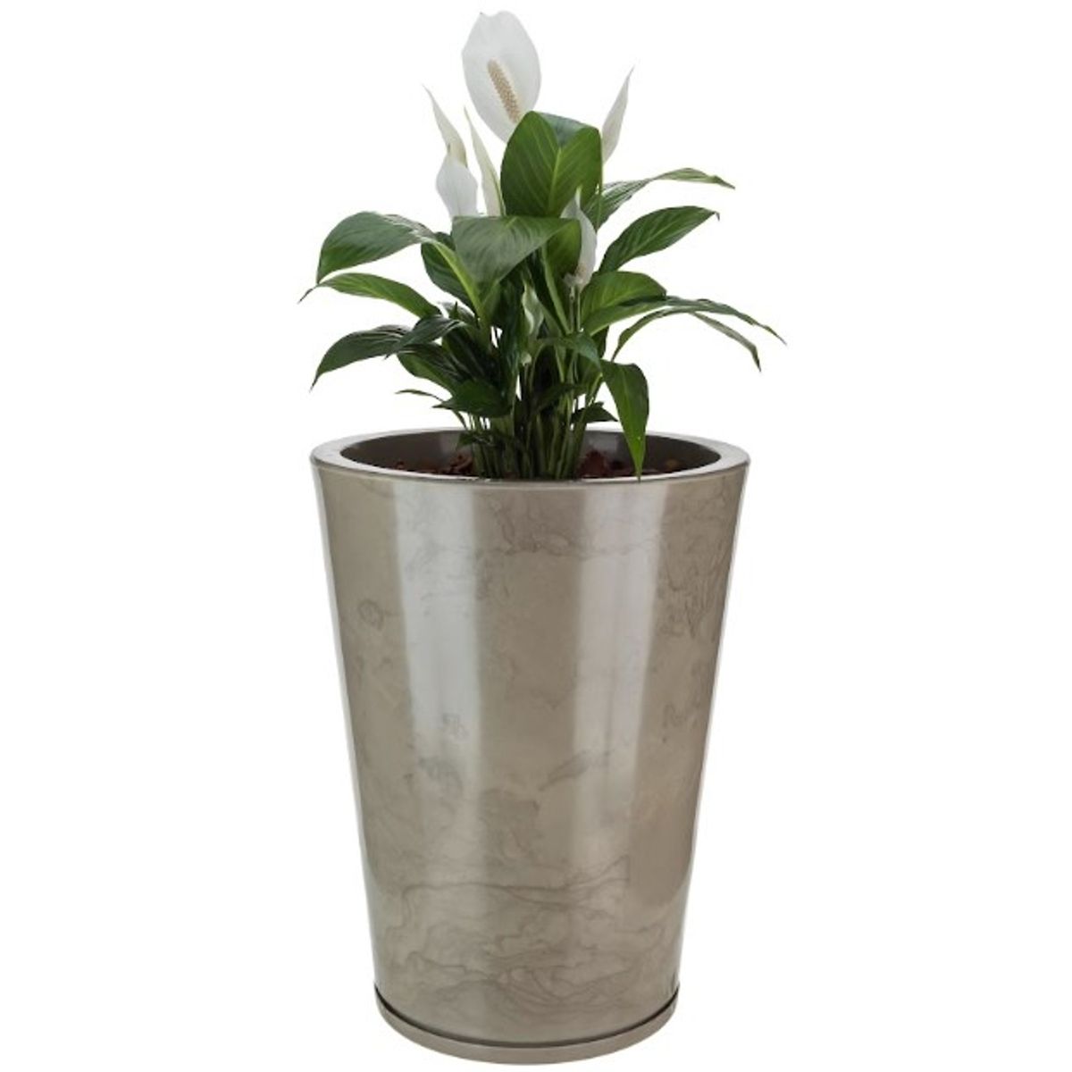 FLORIDIS - MACETERO FLORIDIS BEIGE EFECTO MARMOL GENEBRA 57CM ALTO CON PLATO