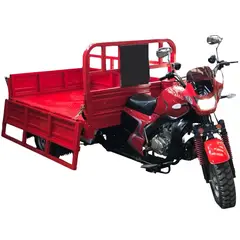 GENERICO - TRICICLO DE CARGA BENCINERO