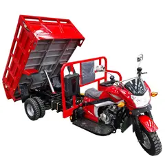 GENERICO - TRICICLO DE CARGA BENCINERO DE ALTO TONELAJE MOTOCAMION