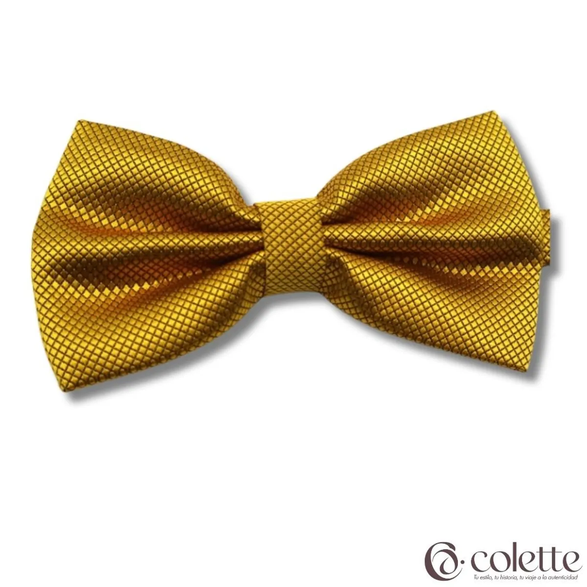 COLETTE - Set Elegante De Humita + Pañuelo Jacquard Colores Varios