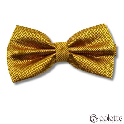 Imagen 2 del producto Set Elegante De Humita + Pañuelo Jacquard Colores Varios