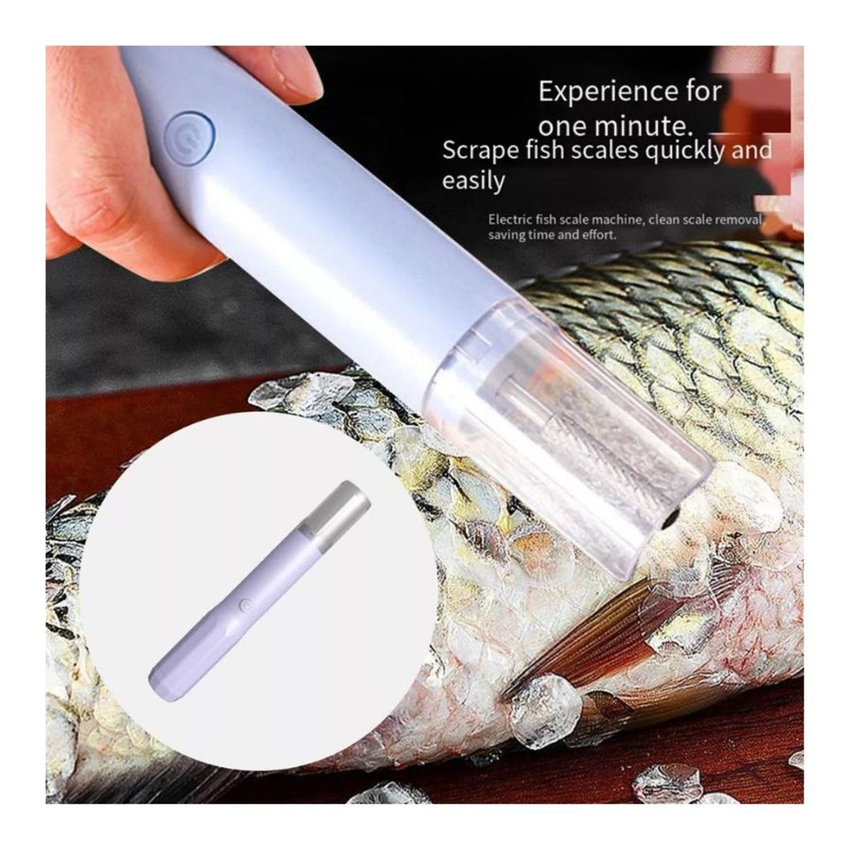 GENERICO - Limpiador Removedor de Escamas Escalador