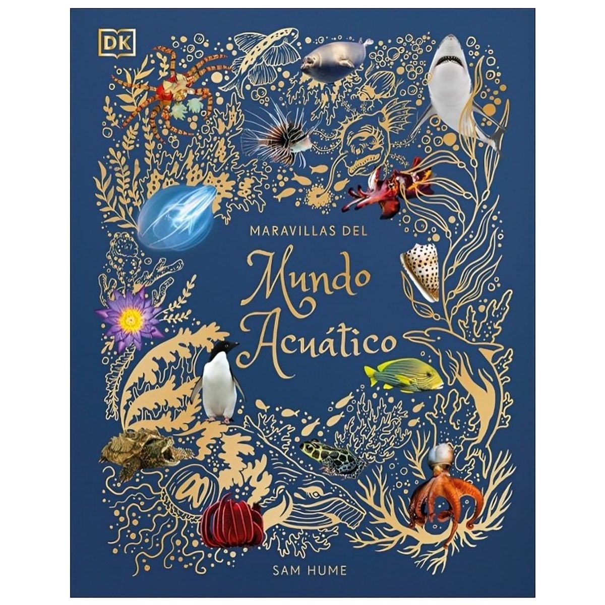 TOP10BOOKS - LIBRO Maravillas Del Mundo Acuático - Dk Dk