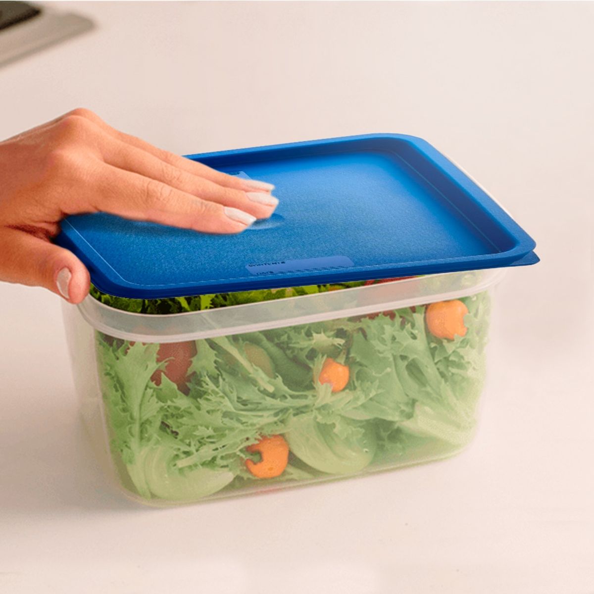 IMAHE - TAPA AZUL RECIPIENTE POLICARBONATO 11.4 , 17.2 Y 20.8 LTS IMAHE