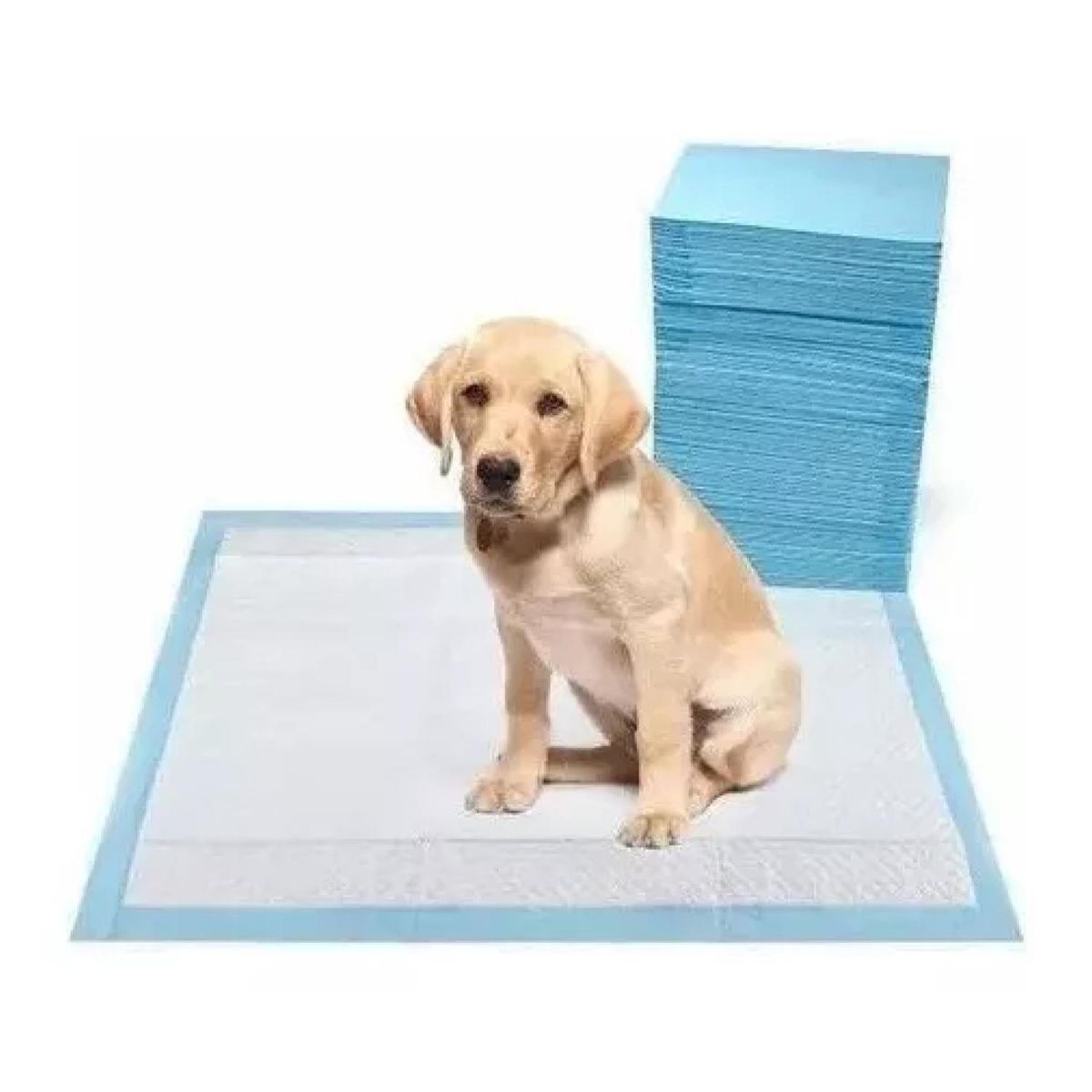 GENERICO - Pack 30 Sabanillas Pañales 60x60cm De Entrenamiento Aroma