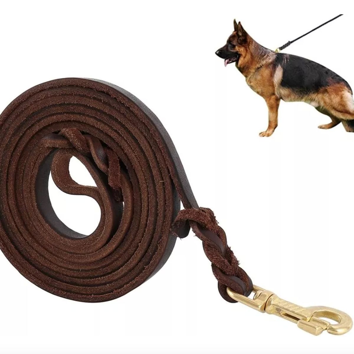 GENERICO - Pet Correa De Cuero De Entrenamiento De Perro 200x12mm