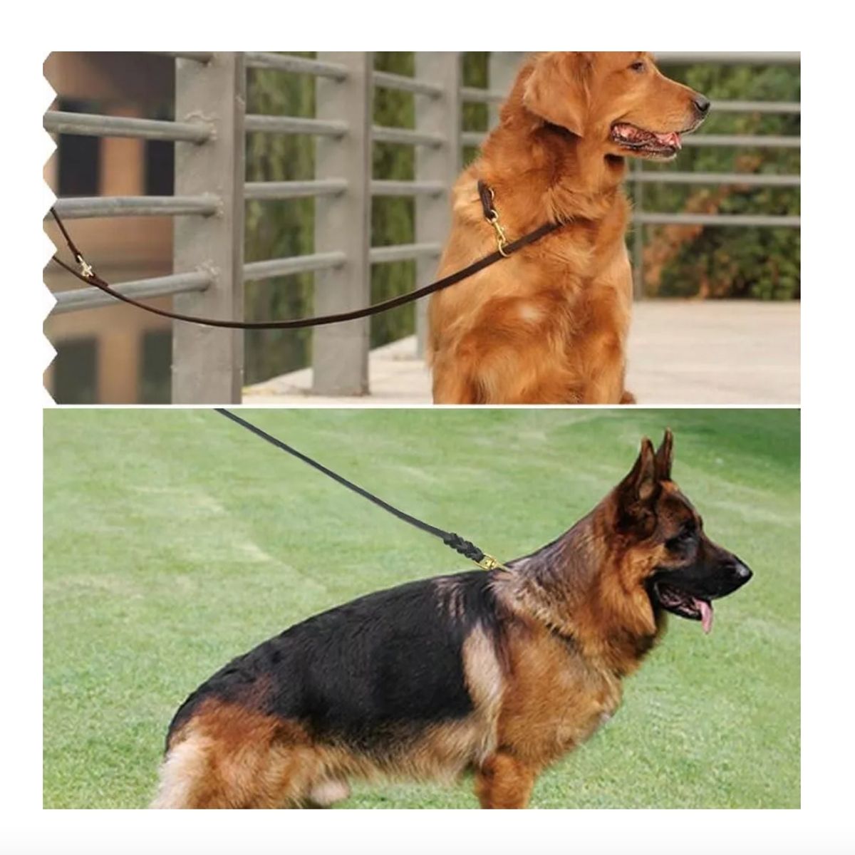 GENERICO - Pet Correa De Cuero De Entrenamiento De Perro 200x12mm