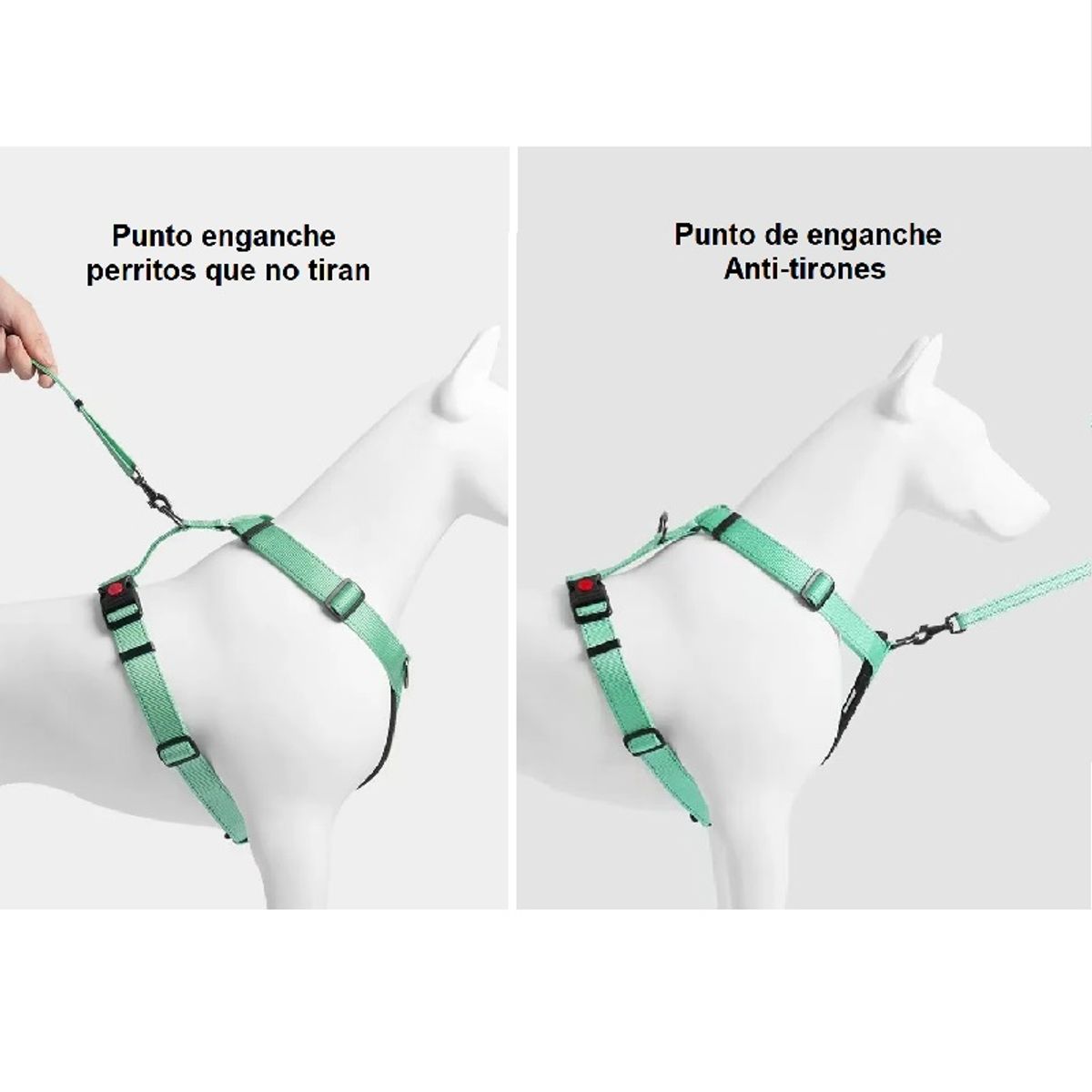 GENERICO - Arnés para perros anti tirones Tipo H Lila M