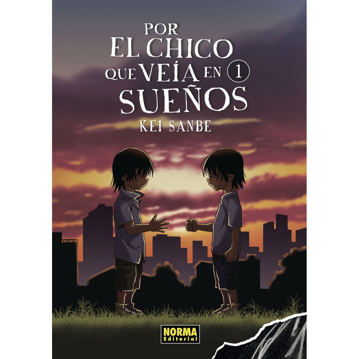 EDITORIAL NORMA - Por El Chico Que Veía En Sueños 1 Ed Especial