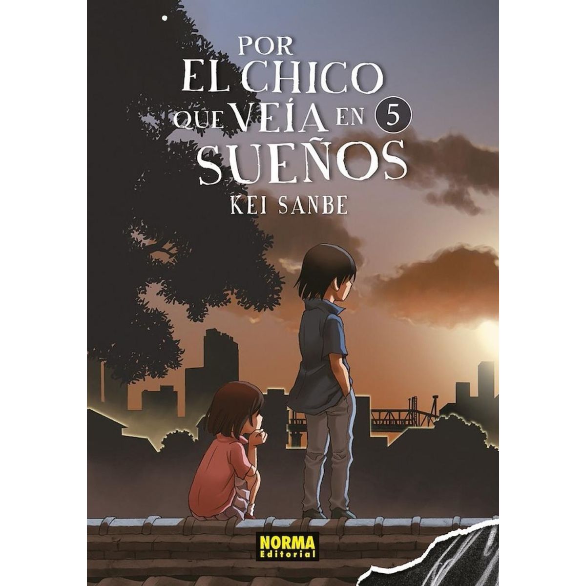 EDITORIAL NORMA - Por El Chico Que Veia En Sueños 5
