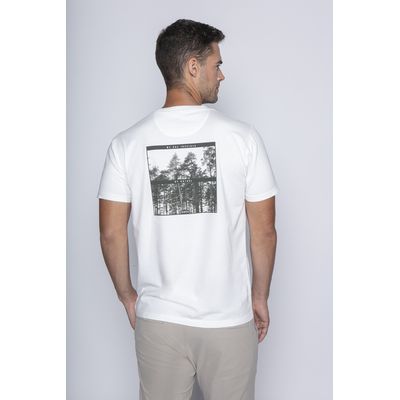 Imagen 2 del producto Polera Tolten Blanco