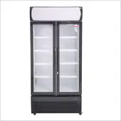 MAIGAS - Visicooler 600 Lt LG600B
