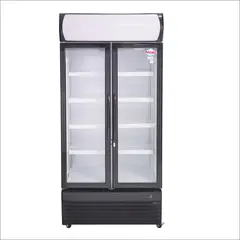 MAIGAS - Visicooler 600 Lt LG600B