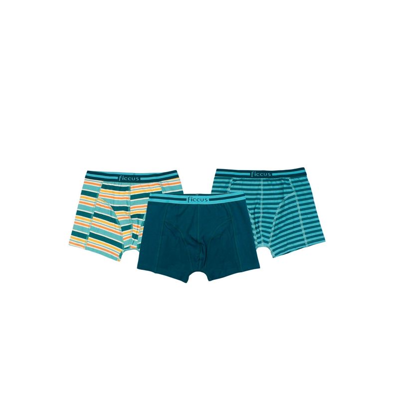 FICCUS - Boxer Teens Niño Ri