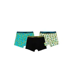 FICCUS - Boxer Teens Niño Ri