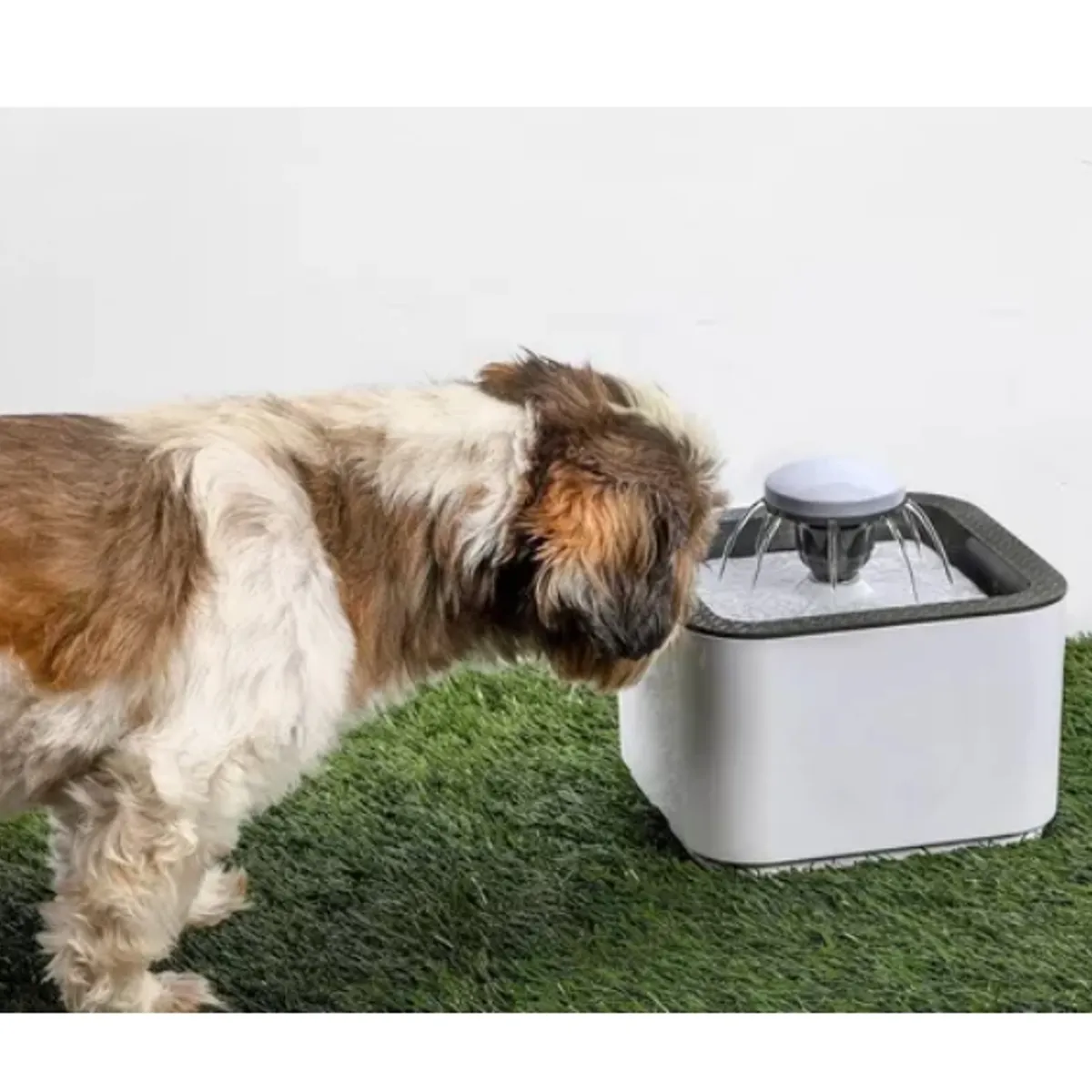 OFERTABKN - Bebedero Para Gatos Y Perros De 2.5 Litros