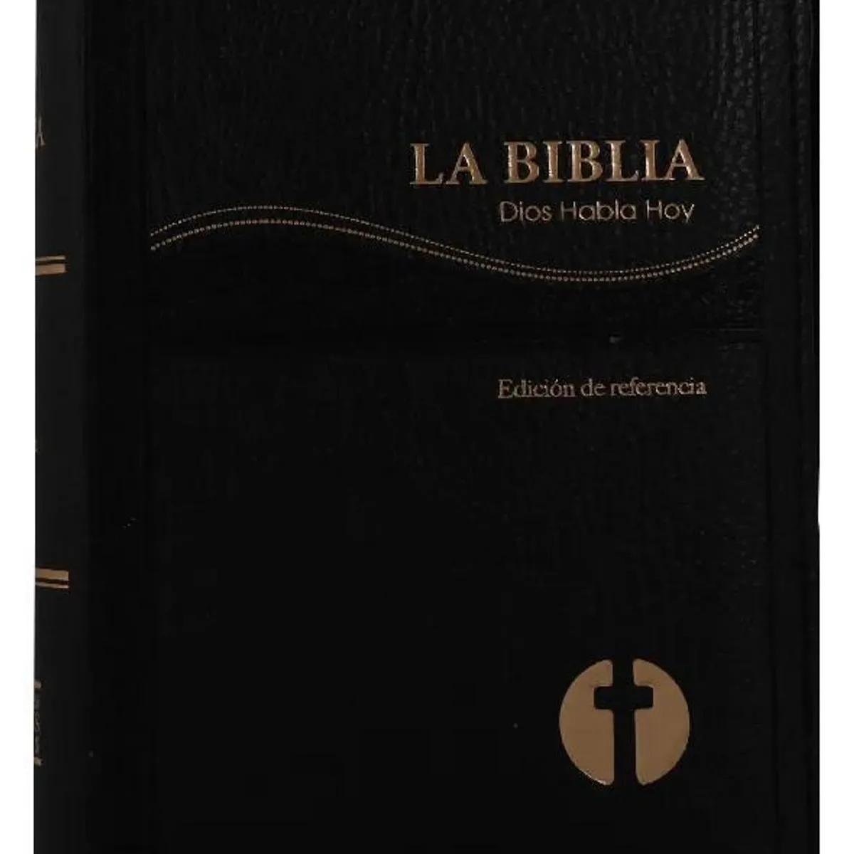 SOCIEDAD BIBLICA CHILENA - Biblia Dios Habla Hoy con deuterocanónicos, cierre de bolsillo