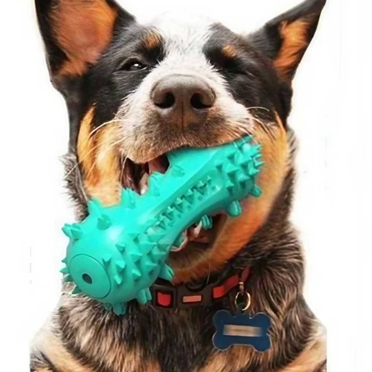 GENERICO - Juguete para Mascota Perro Encias Antiestres