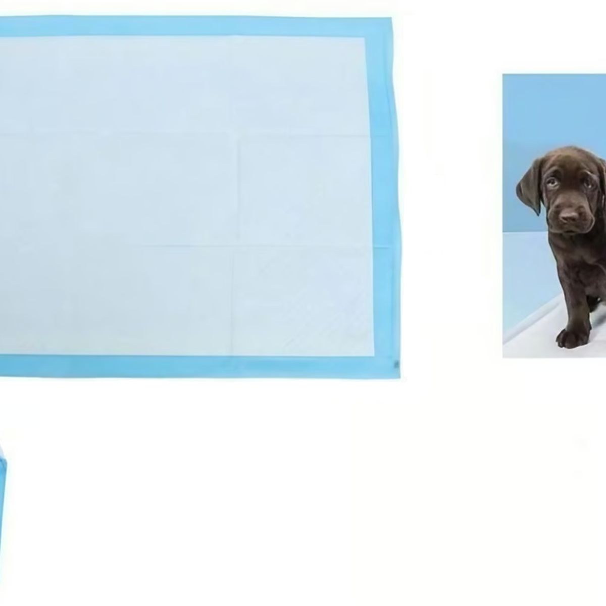 GENERICO - Sabanillas Para Perros 40 Unidades 60 X 60 Cm 30Unidades