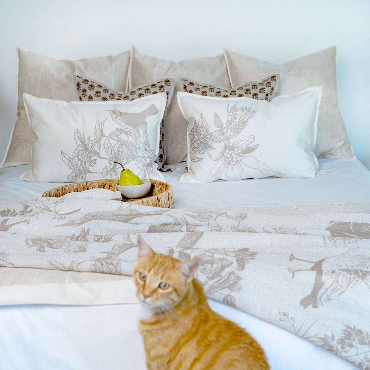 TUYO PRINT - Cojín Nativo Loica - 60x40 cm - Tuyo Print