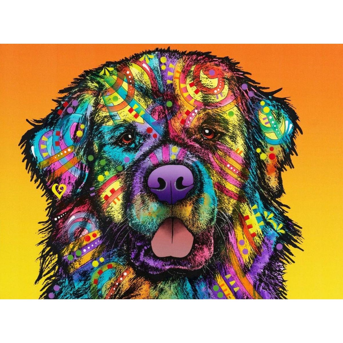 ARTE CONSENTIDO - Diamond Painting Diy 5d Kit Perro Colores
