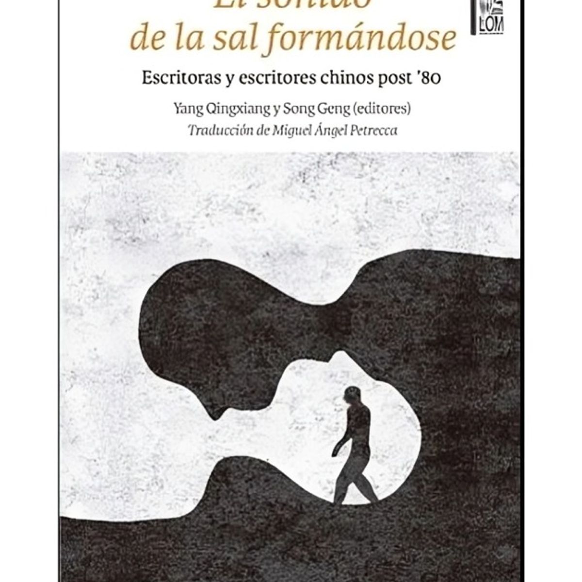 TOP10BOOKS - LIBRO El Sonido De La Sal Formándose - El Sonido De La Sal Formándose