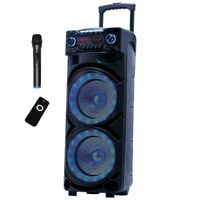 Parlante Karaoke Portátil Bluetooth Inalámbrico Big Pro 1000