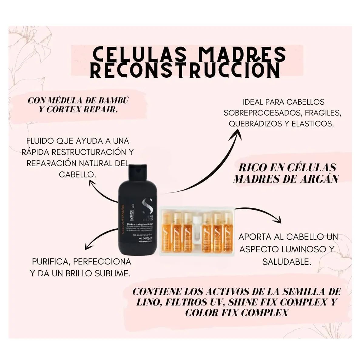 ALFAPARF MILANO - ALFAPARF Kit Tratamiento Células Madres Reconstrucción + 6 Ampollas