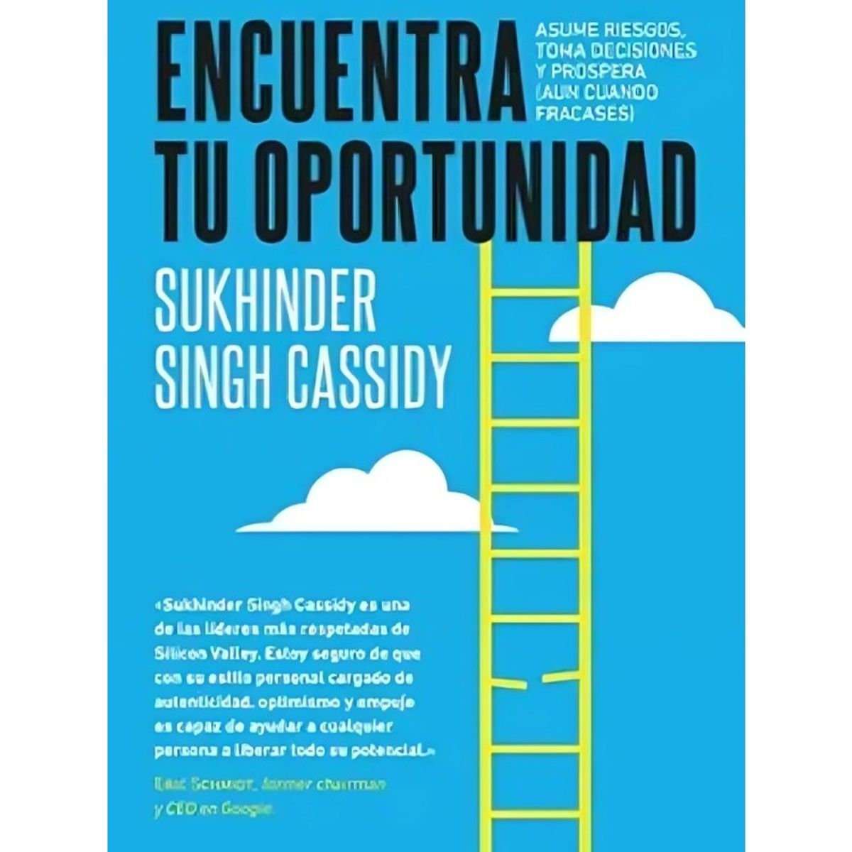 TOP10BOOKS - LIBRO Encuentra Tu Oportunidad - Encuentra Tu Oportunidad