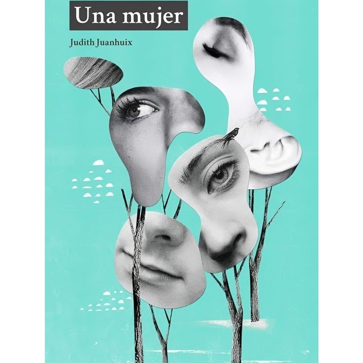 TOP10BOOKS - LIBRO Una Mujer - JUDITH JUANHUIX
