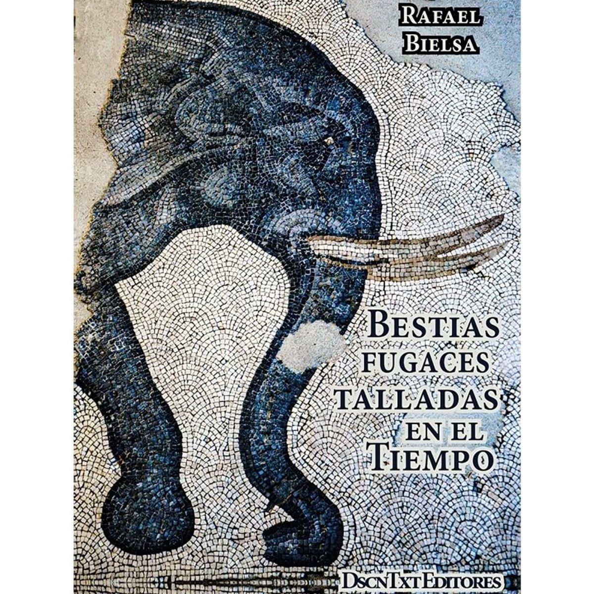 TOP10BOOKS - LIBRO BESTIAS FUGACES TALLADAS EN EL TIEMPO / RAFAEL BIELSA / DESCONTEXTO