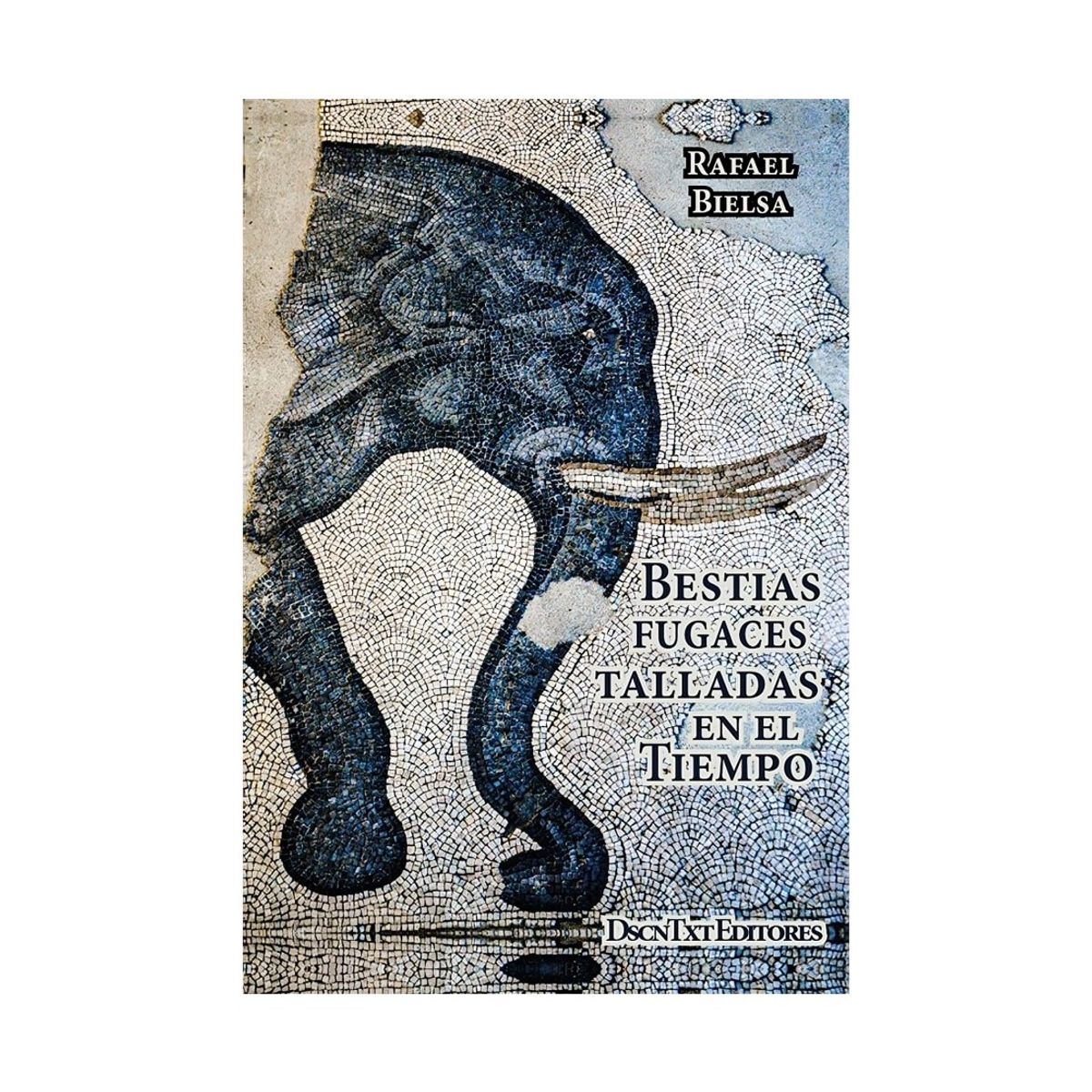 TOP10BOOKS - LIBRO BESTIAS FUGACES TALLADAS EN EL TIEMPO / RAFAEL BIELSA / DESCONTEXTO
