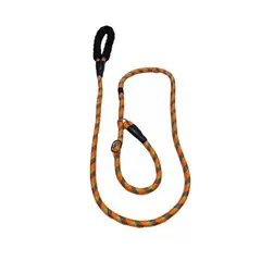 GENERICO - Slip On Leash Correa Y Collar De Entrenamiento Perro 1,8 Mt