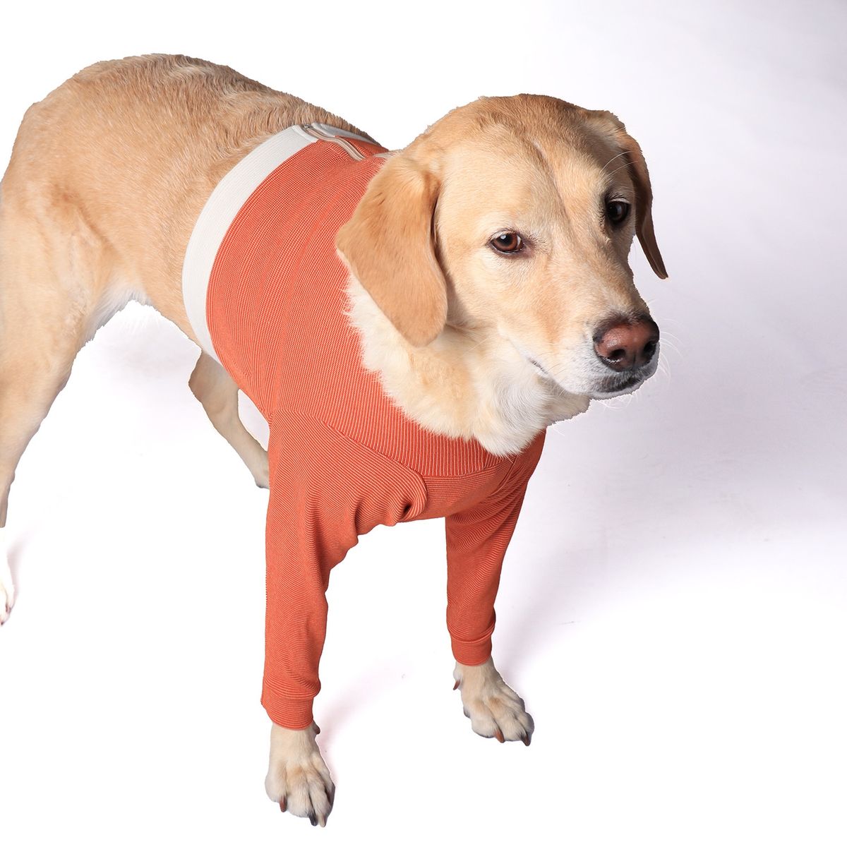 KIMBAVET - BodyCobre® Polerón Postoperatorio - TALLA 13 - 40 a 45 Kg