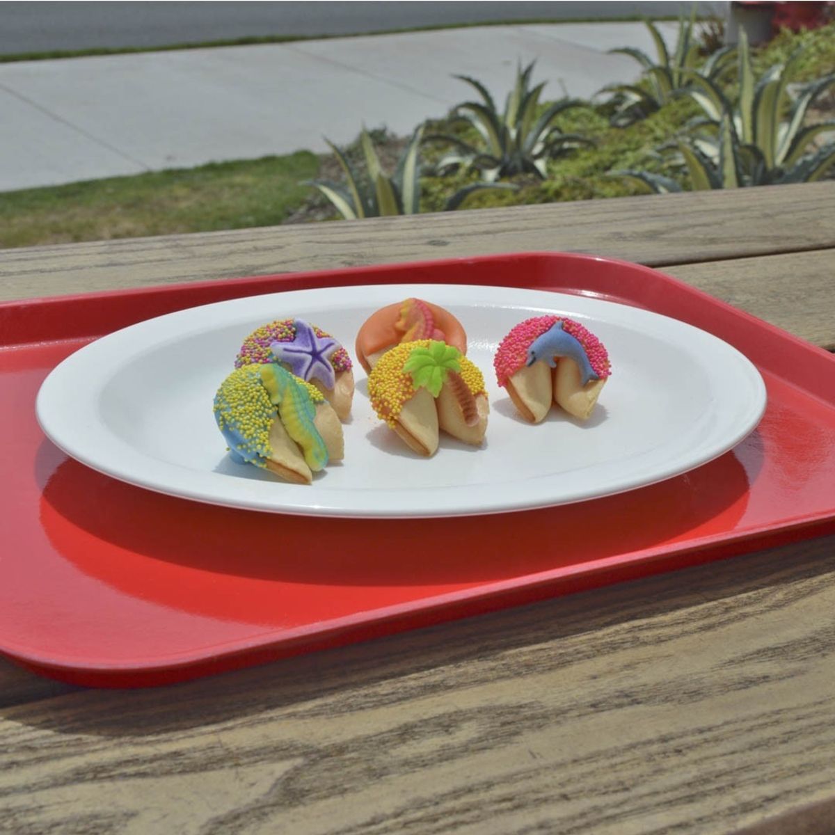 IMAHE - BANDEJA SERVICIO COLOR ROJO IMAHE