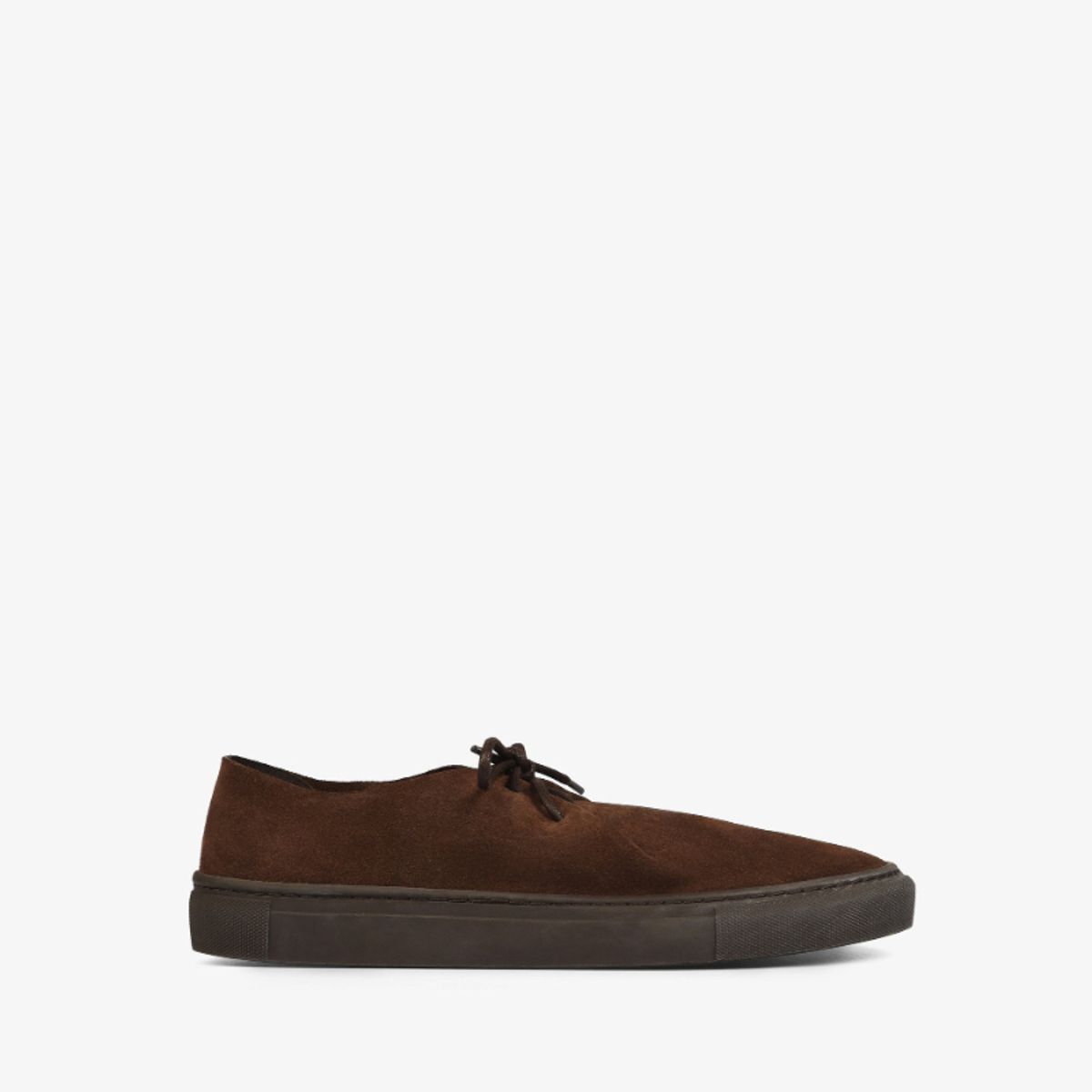 SCALPERS - Zapato Cordones Piel Serraje Dark Brown