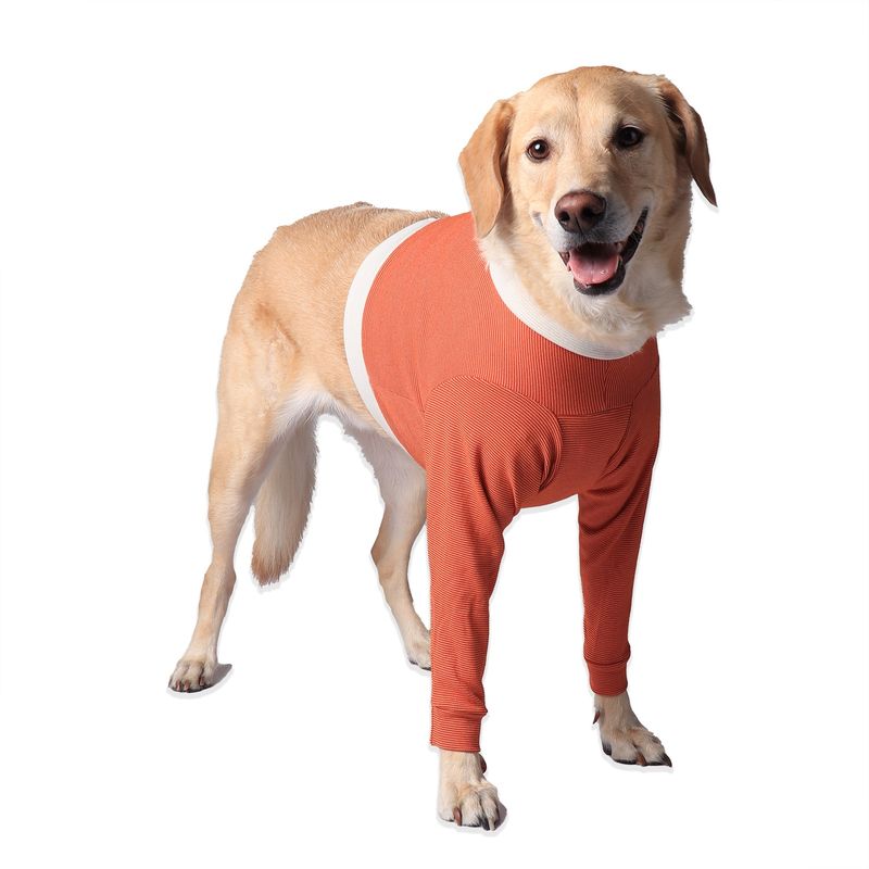 KIMBAVET - BodyCobre® Polerón Postoperatorio - TALLA 10 - 25 a 30 Kg