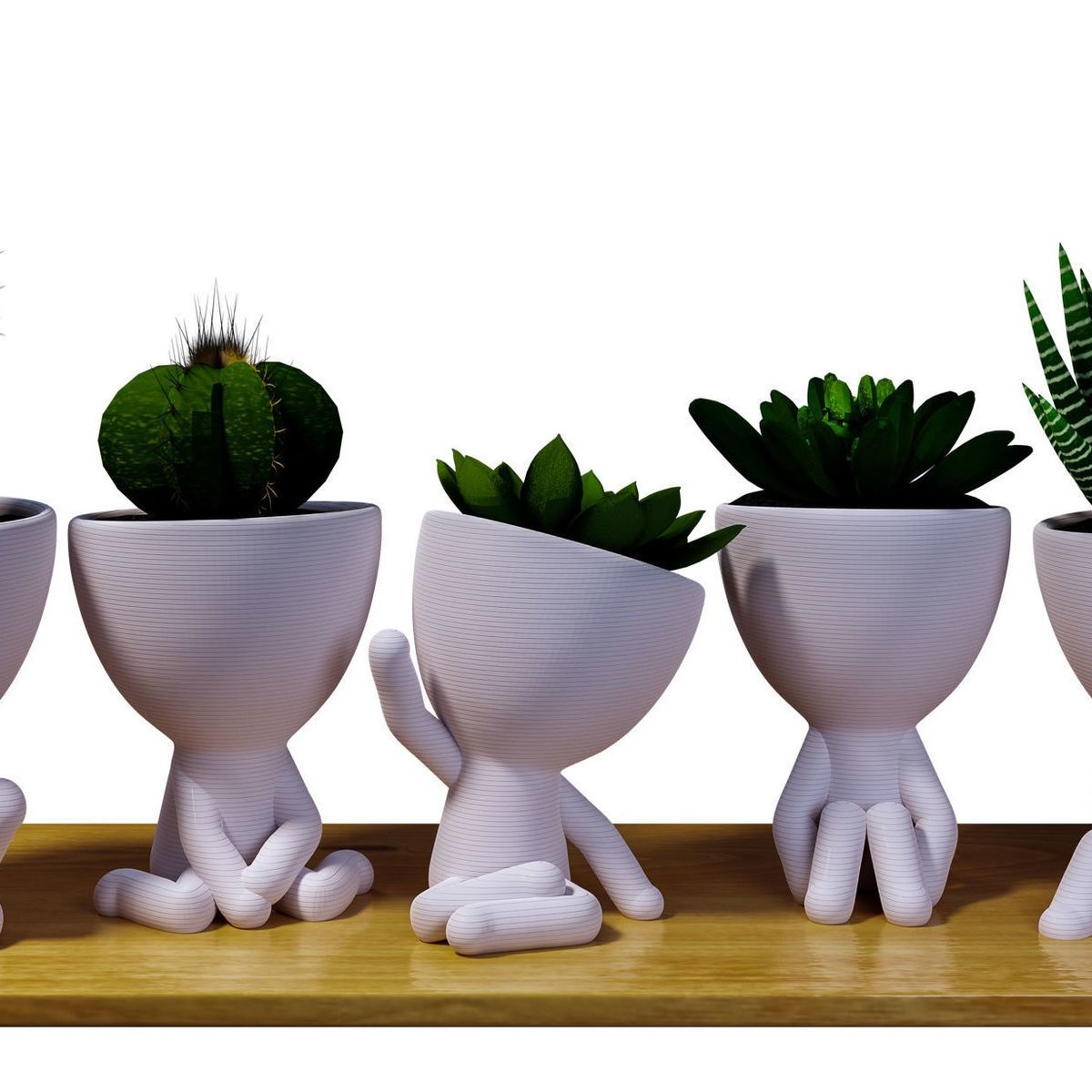 GENERICO - Pack 5 Maceteros Robert Plant Para Cactus O Suculentas